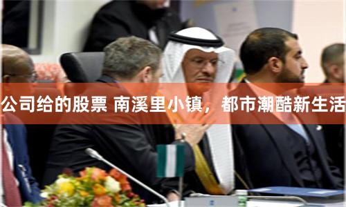 公司给的股票 南溪里小镇，都市潮酷新生活