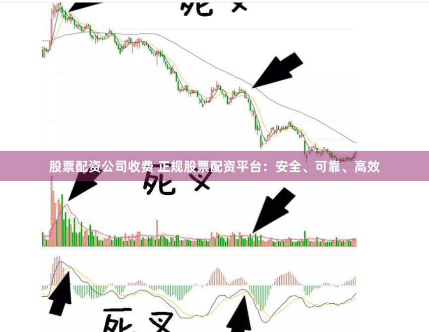 股票配资公司收费 正规股票配资平台：安全、可靠、高效