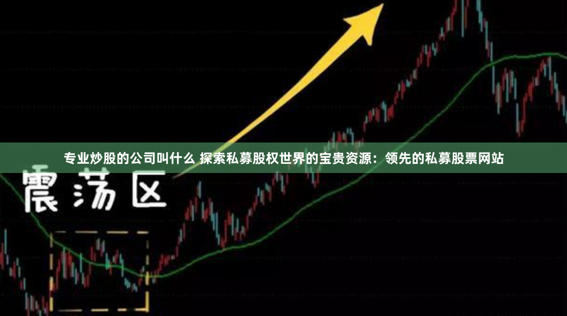 专业炒股的公司叫什么 探索私募股权世界的宝贵资源：领先的私募股票网站