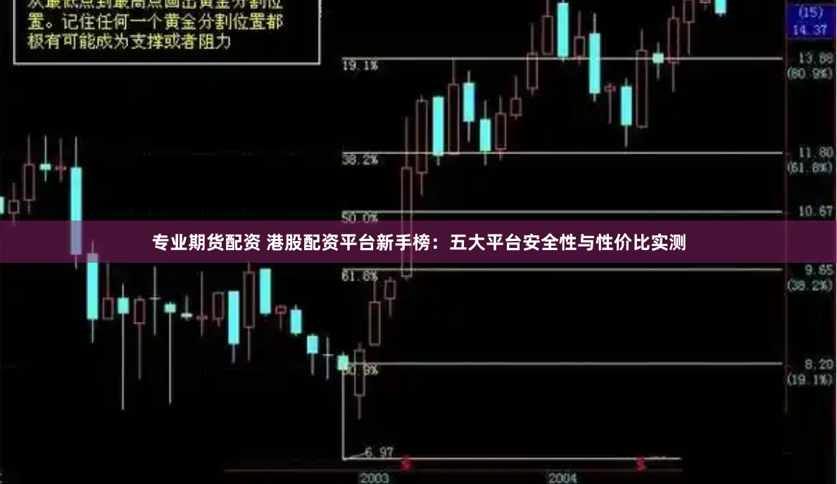 专业期货配资 港股配资平台新手榜：五大平台安全性与性价比实测