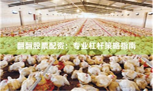 翻翻股票配资：专业杠杆策略指南