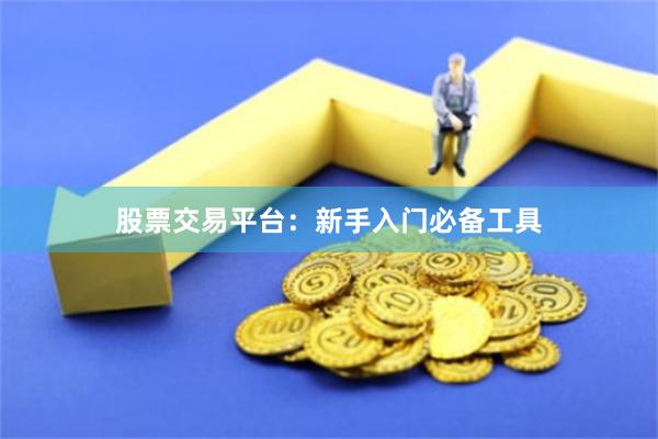 股票交易平台：新手入门必备工具