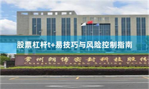 股票杠杆t+易技巧与风险控制指南